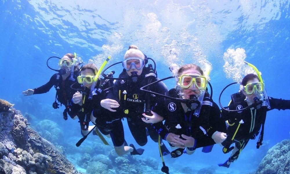 Great Barrier Reef Dive and Snorkel Cruise to 2 Reef Locations