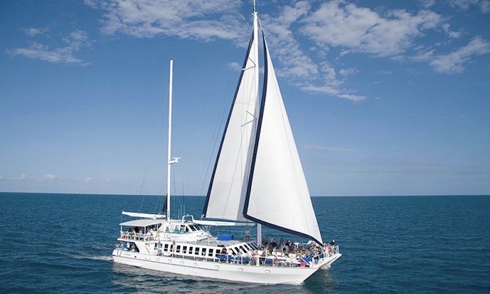 Port Douglas to Low Isles Full Day Sailing Cruise