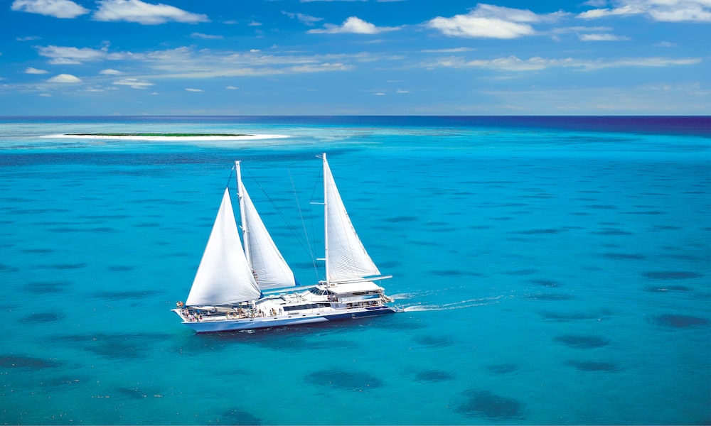 Michaelmas Cay Sailing Cruise