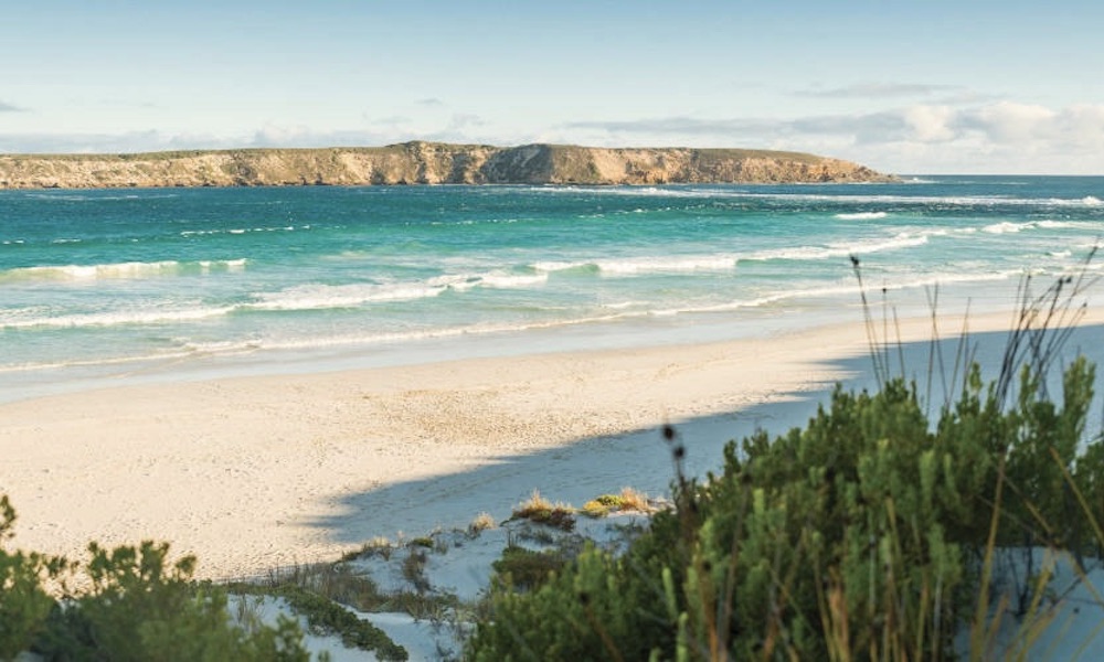 Coffin Bay Day Tour from Port Lincoln including Wine Tasting and Gourmet Lunch