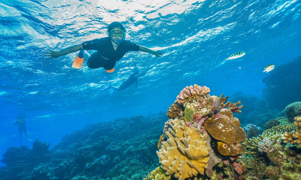 Great Barrier Reef Cruise to Reef Magic Pontoon