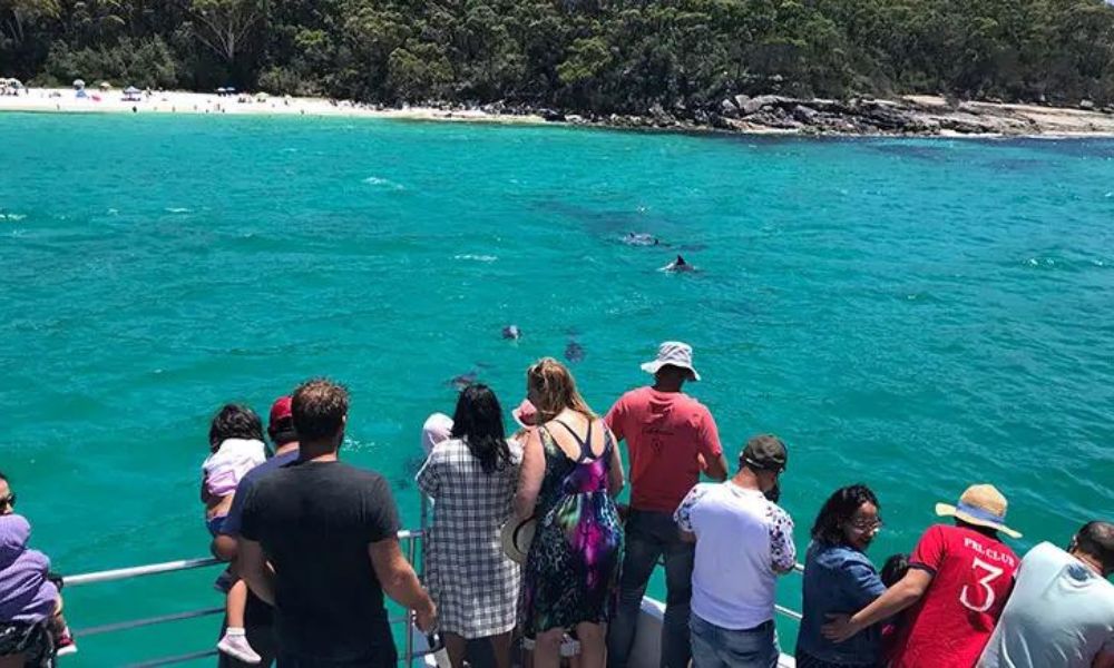 Jervis Bay Dolphin Watching Cruise