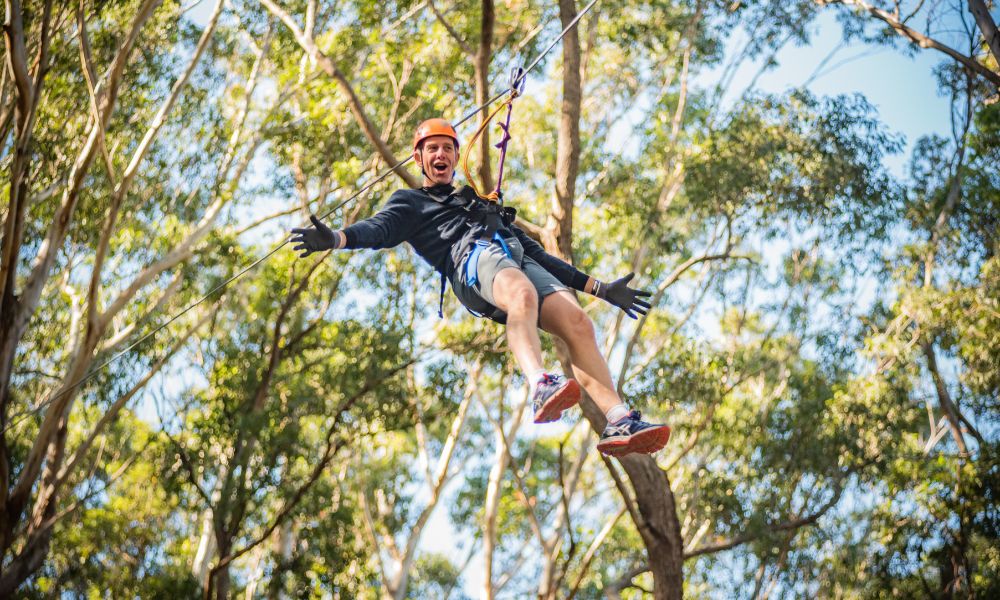 Treetops Adventure Western Sydney - 2.5 Hours