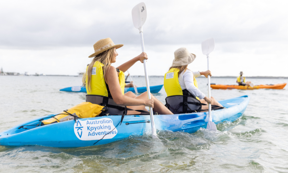 Gold Coast Morning Dolphin Kayaking and Snorkeling Tour