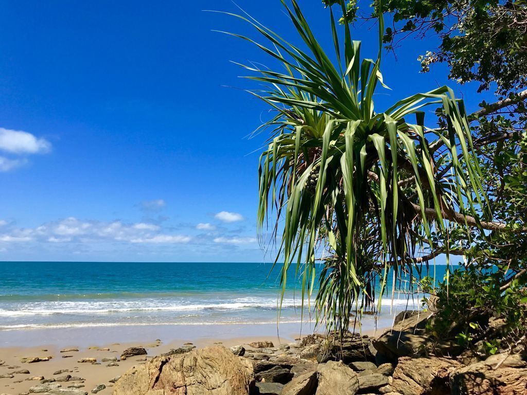 Daintree Magic Holiday House