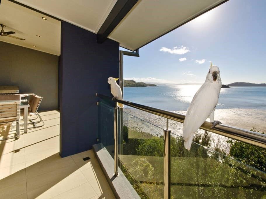 Edge Apartment 19 - Seaview Apartment on Hamilton Island