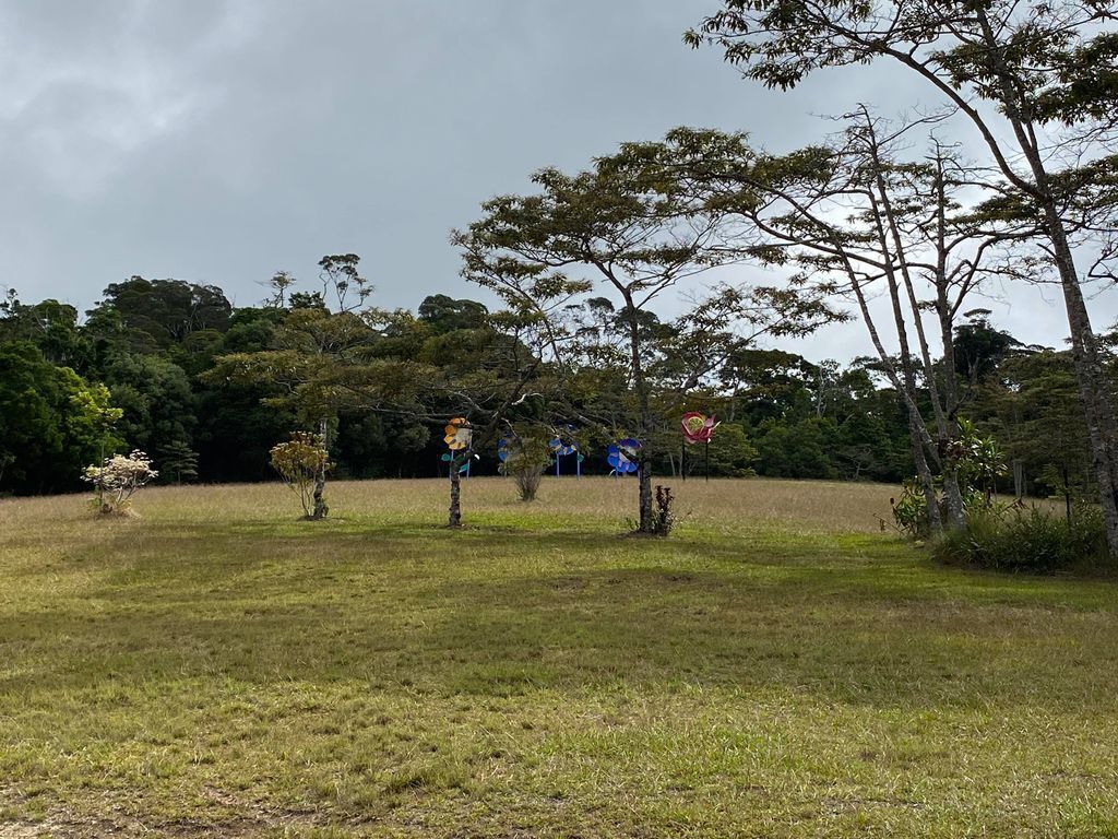 Paluma Rainforest Rural Retreat