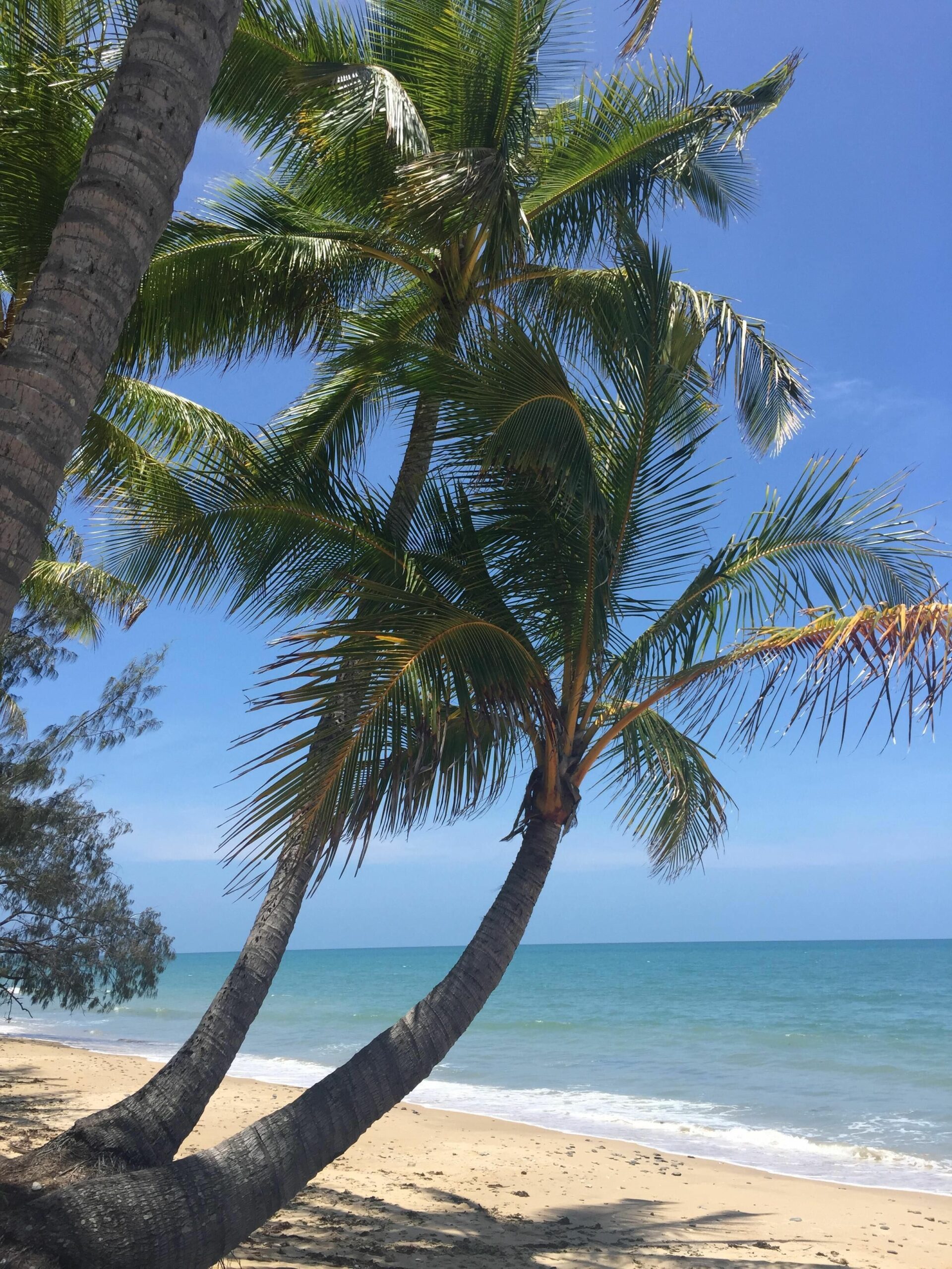 Your Private, Ocean-front Sanctuary At Oak Beach