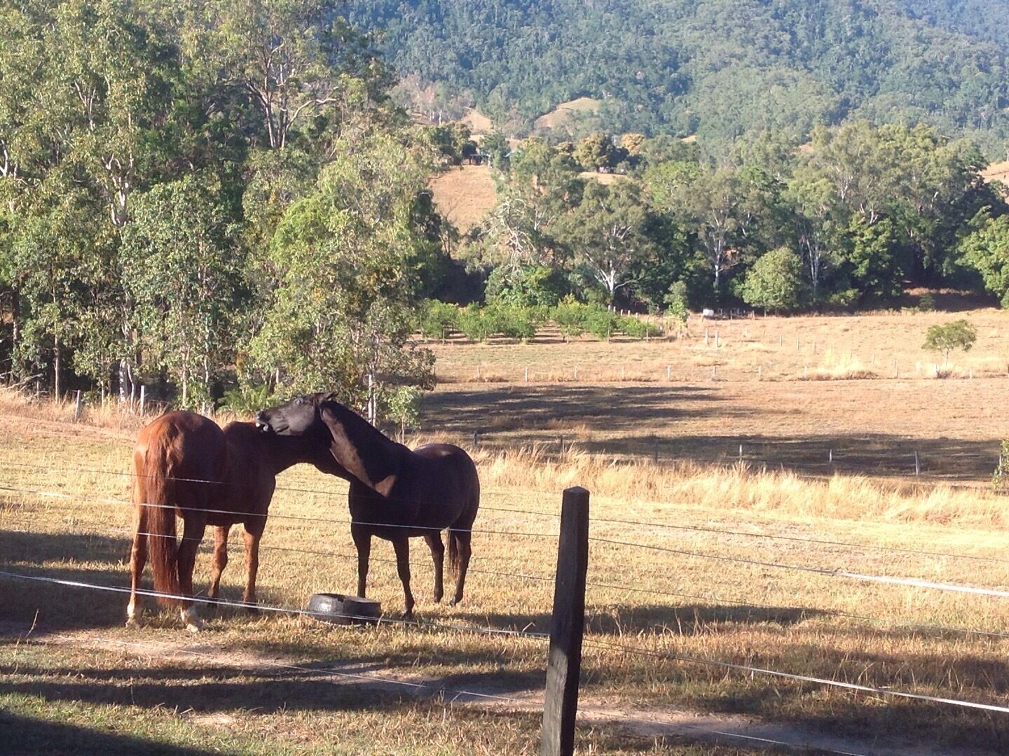 SHEDELDO ( quite country retreat)