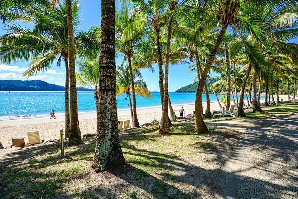 Poinciana Lodge 208 - Seaview Apartment on Hamilton Island