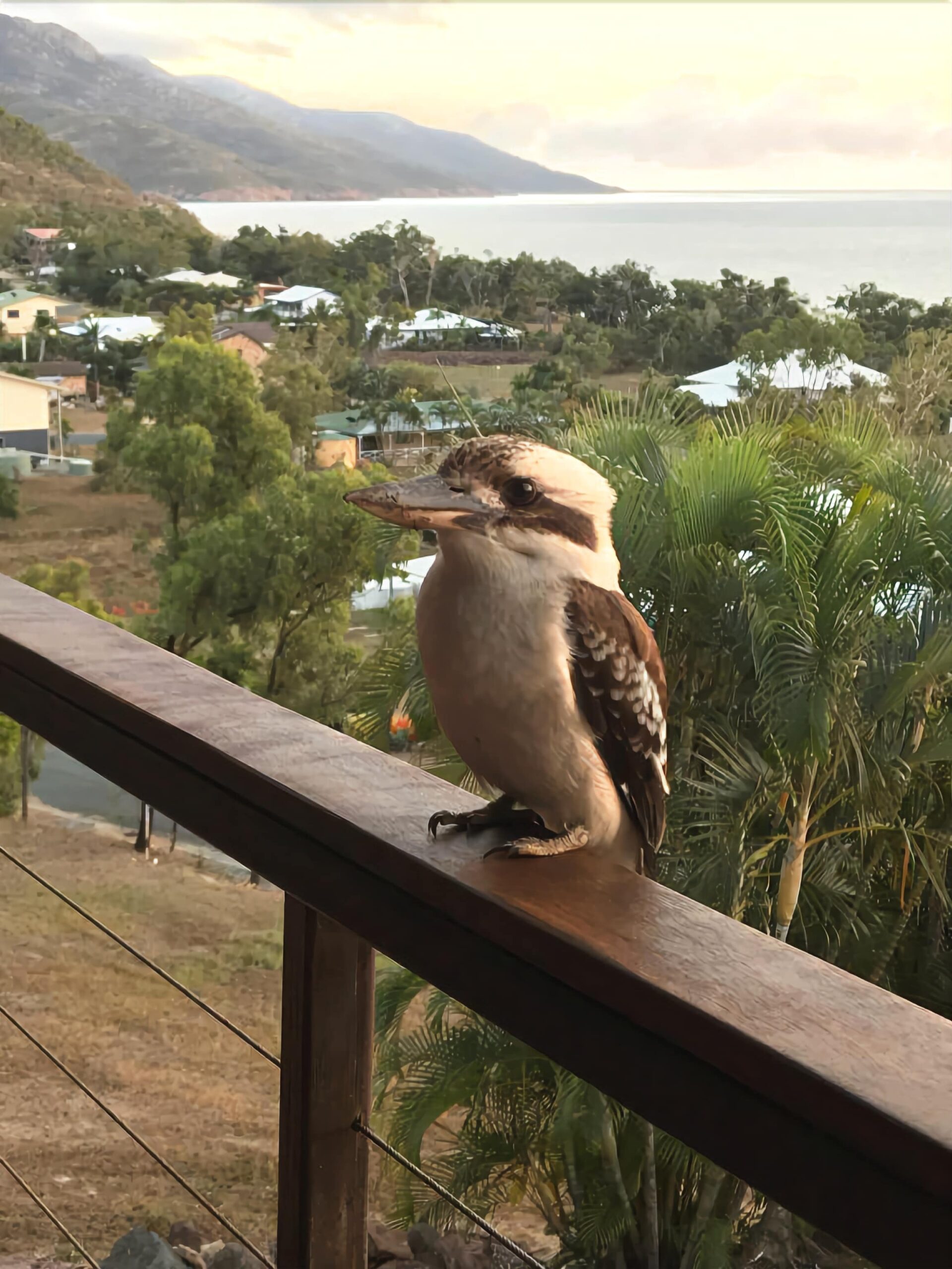 Lorikeet Lodge-private Tropical Hideaway-panoramic Views-pool and Mtrs to Beach