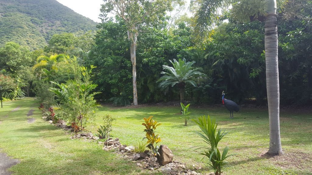 Garden Villa, Oak Beach-Pt Douglas, Queensland