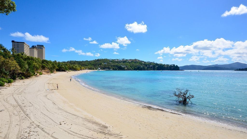 Lagoon 203 - Hamilton Island