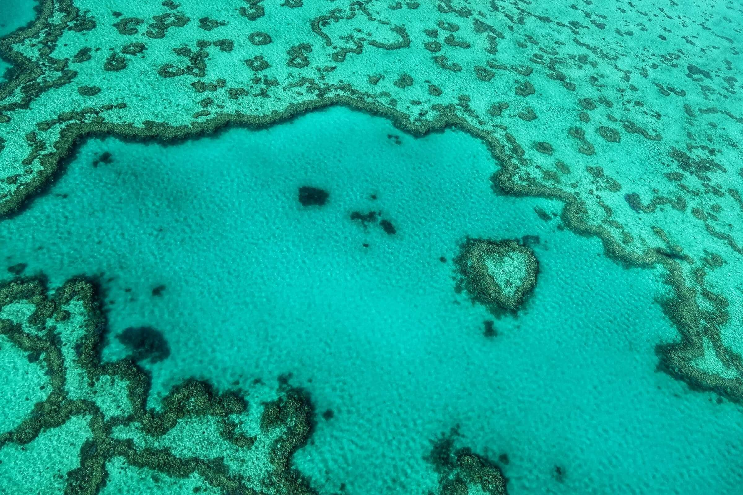 Heart of Airlie Beach Apartment