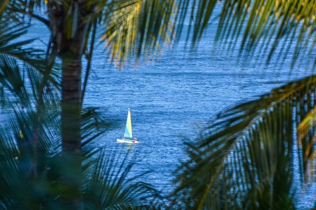 The Palms - Beautiful House on Hamilton Island