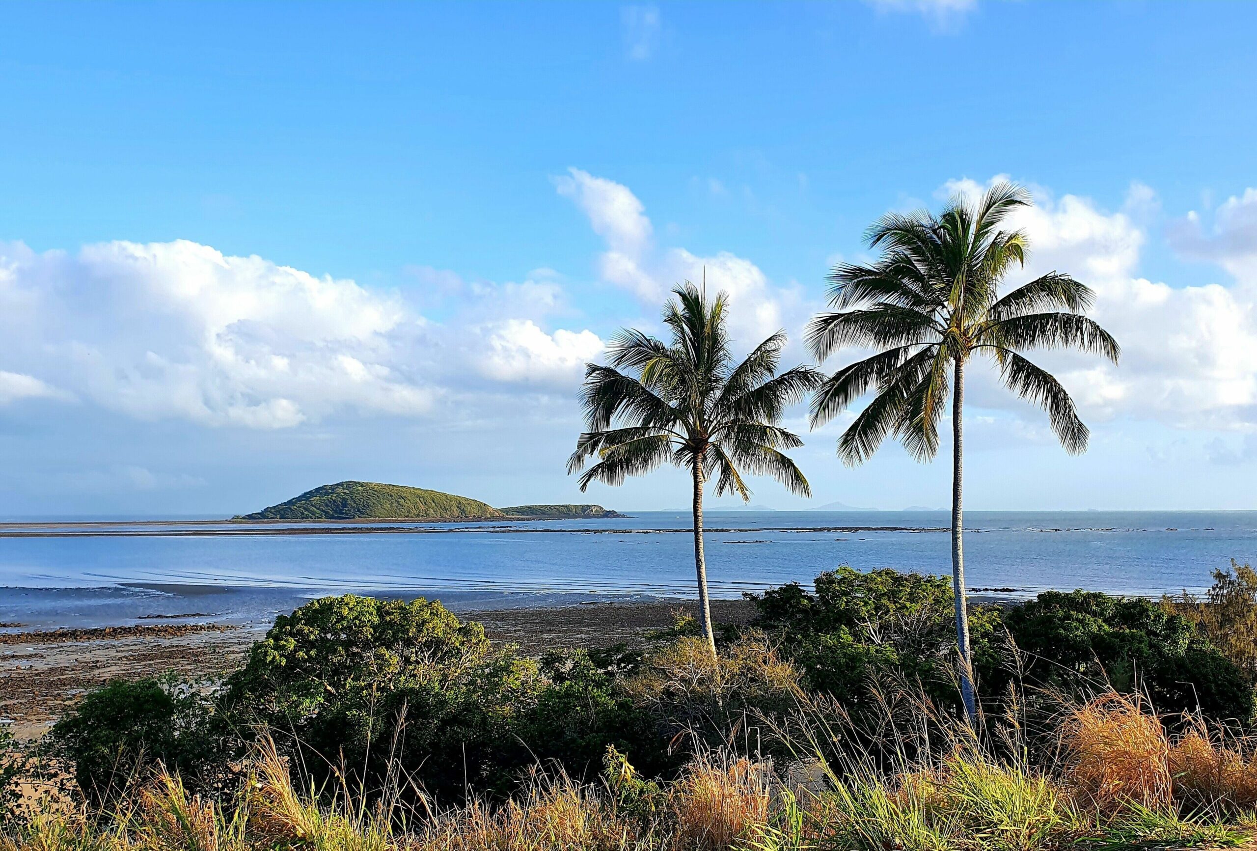 Dolphin Heads Resort-absolute Beachfront-whitsunday Getaway!