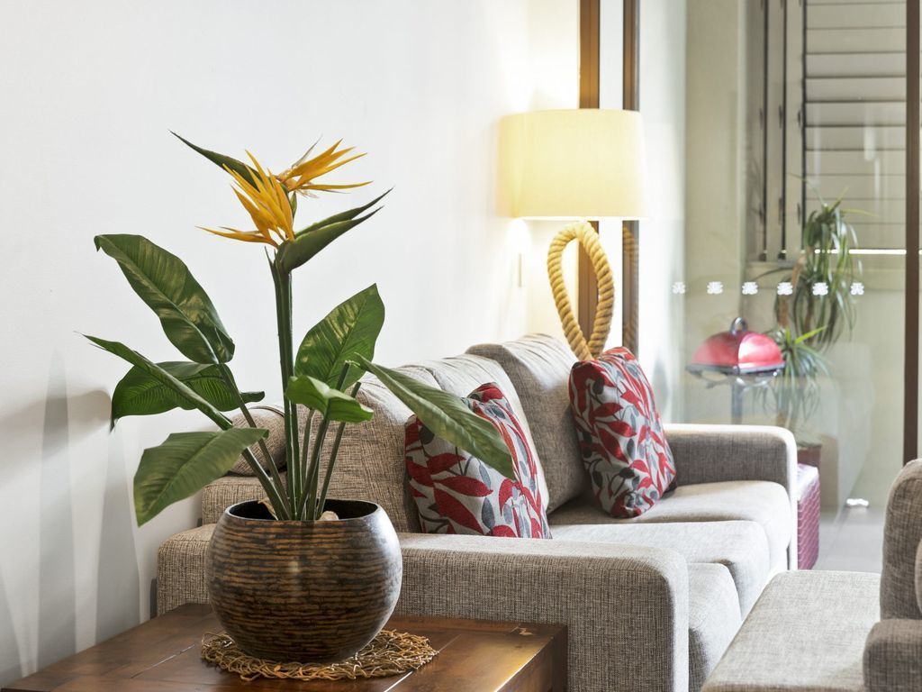 Temple 304 Modern Spacious Palm Cove Resort
