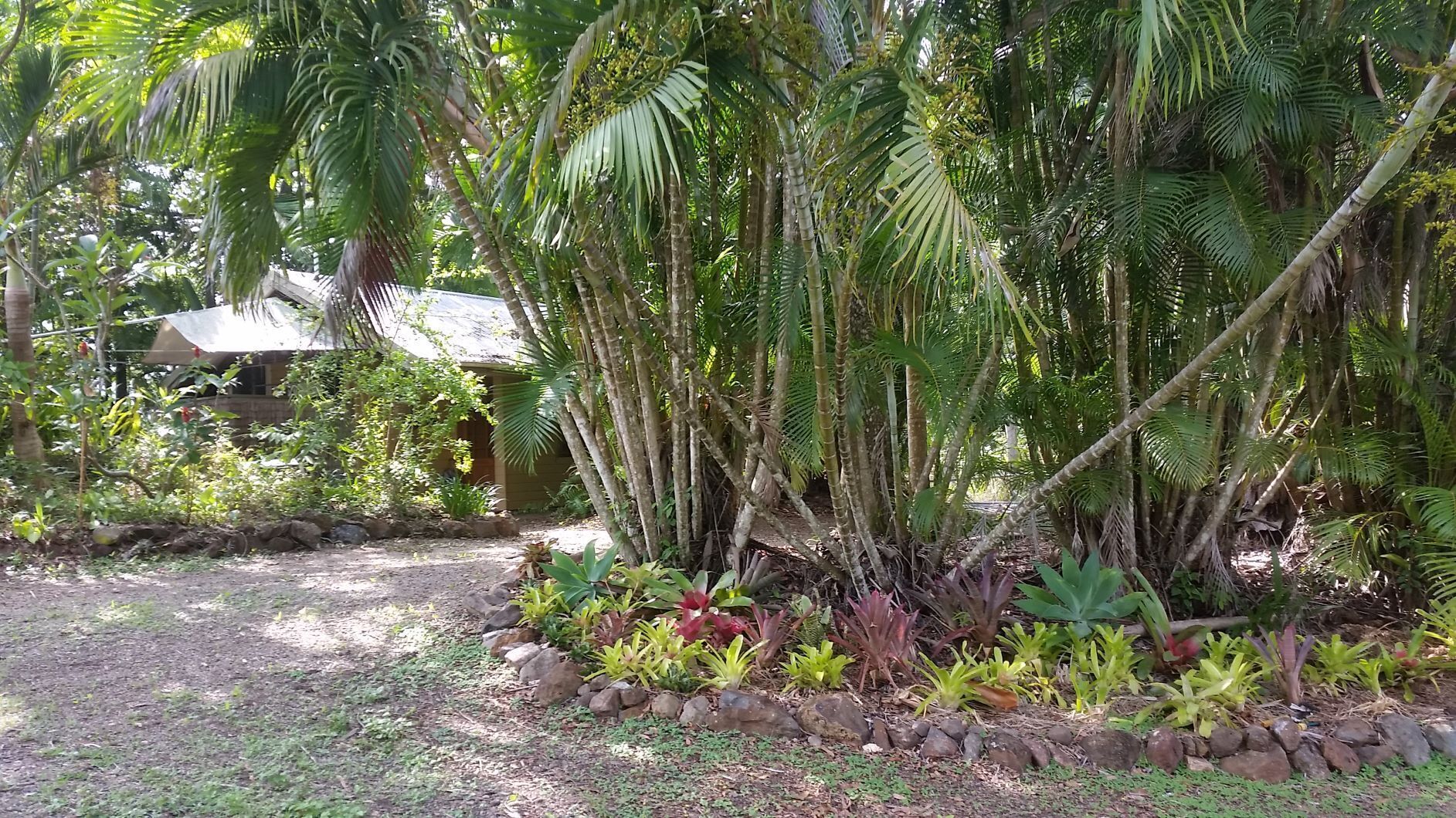 Curlew Cottage - Wildlife Haven