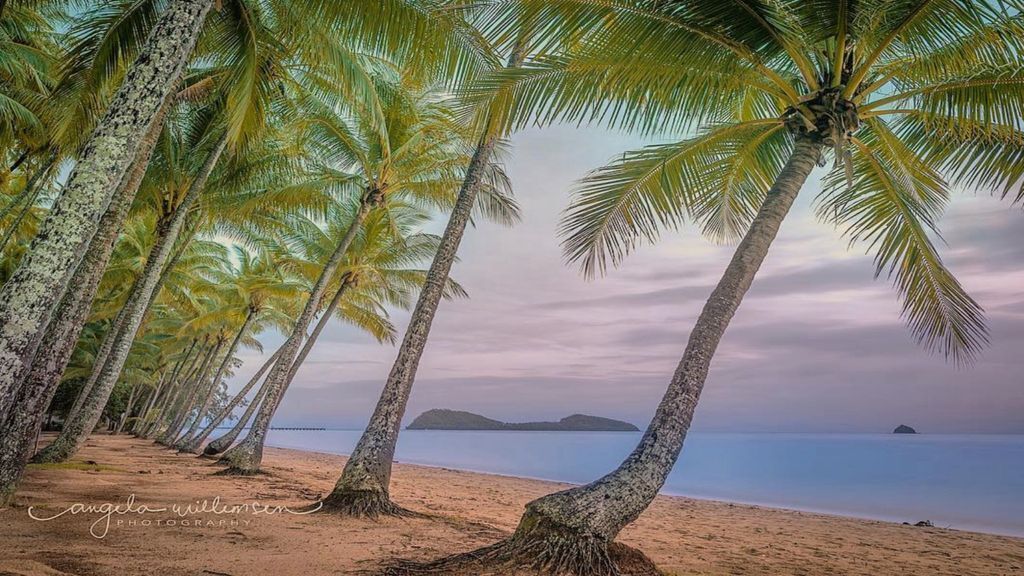 SEA TEMPLE PENTHOUSE @PALM COVE