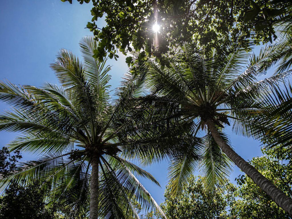 Coral Shore Villa 437 Port Douglas