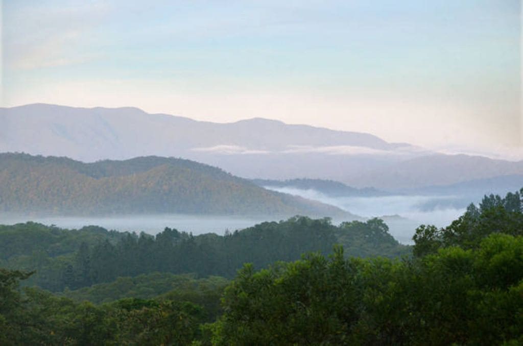 Daintree Valley Cottage