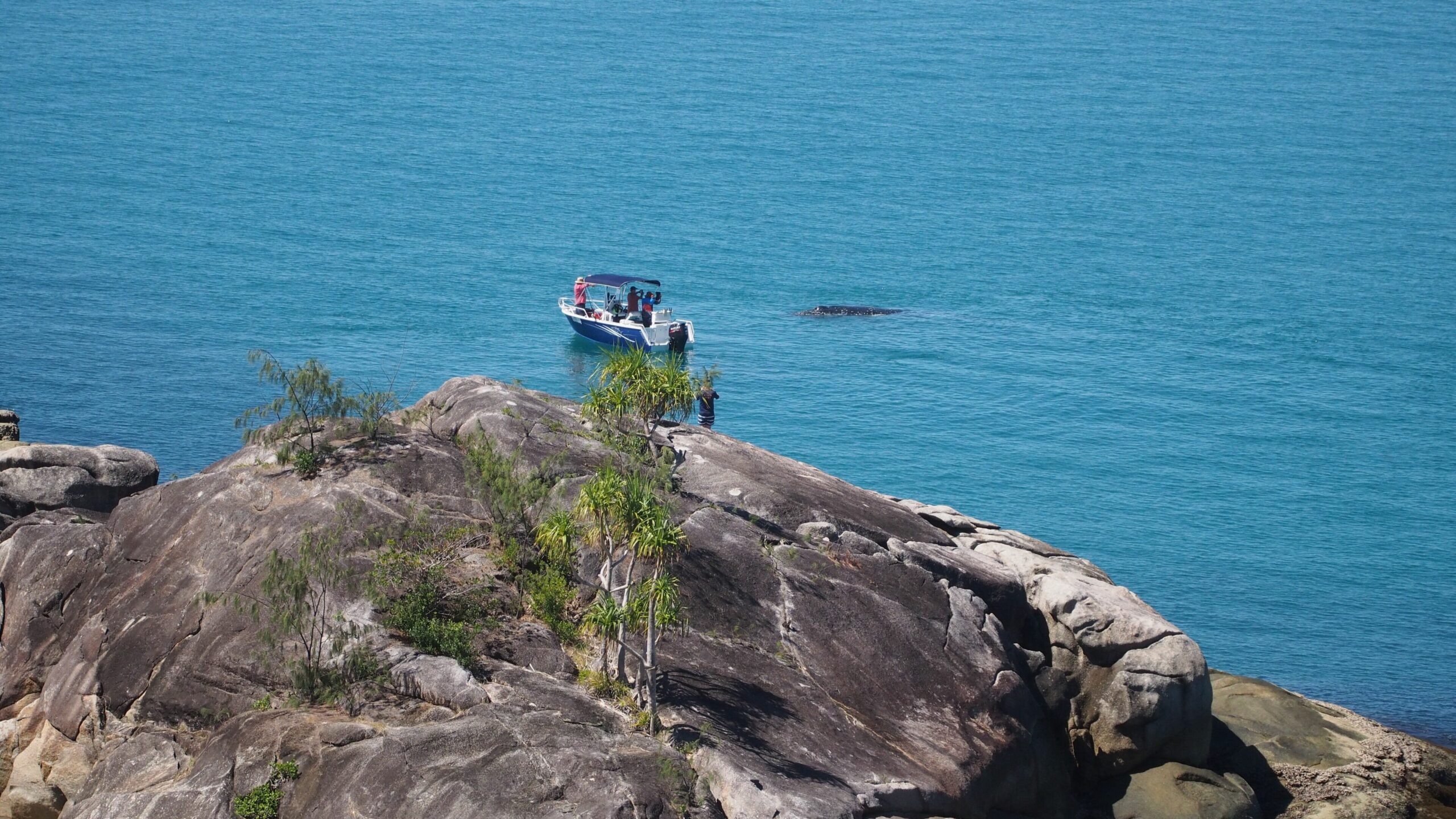 Romantic Luxury Villa, Magnesium Plunge Pool, Perfect for Couples.private Island