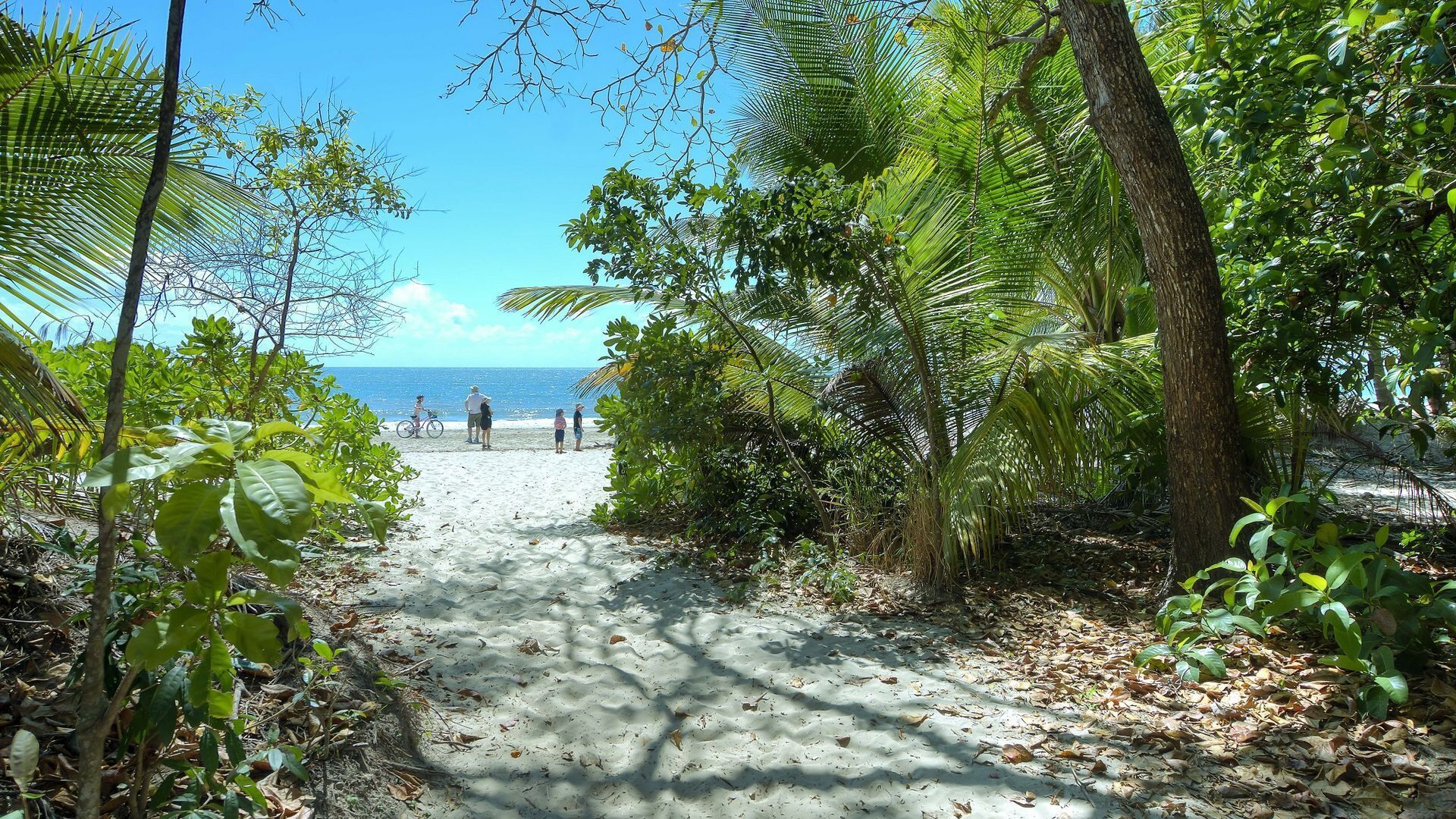 Amaroo Port Douglas - Beachfront Delight