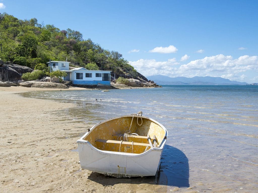 Blue on Cockle - Picnic Bay, QLD