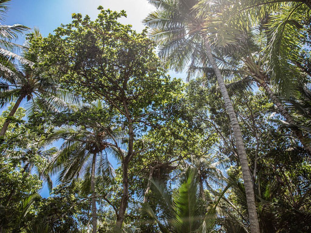 Coral Shore Villa 437 Port Douglas