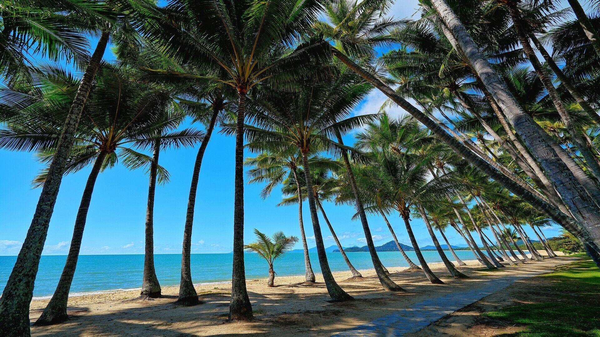 Escapades @ Palm Cove