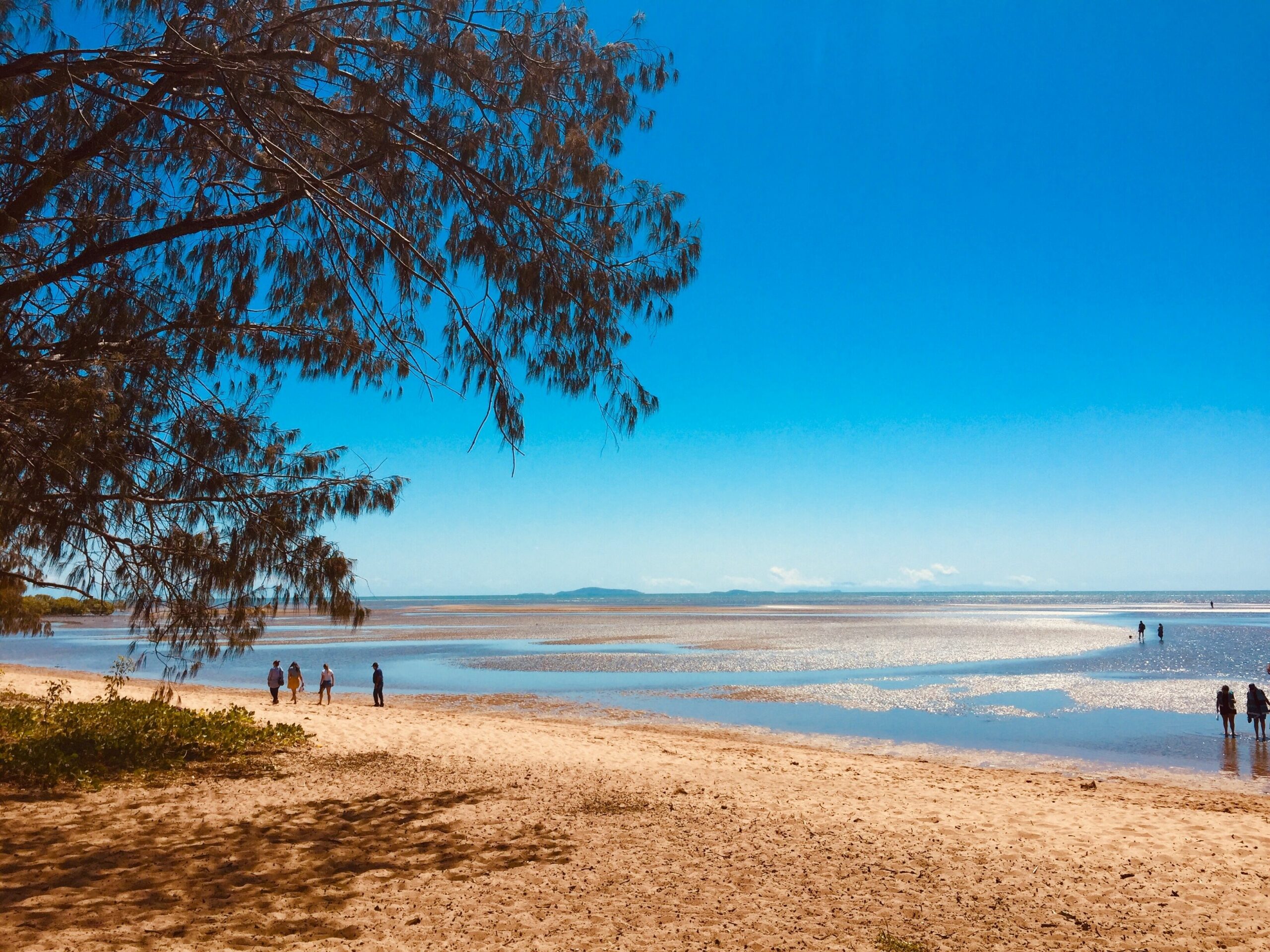 Bushland Beach Holiday House