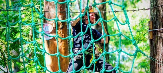 TreeTop Challenge at Currumbin Wildlife Sanctuary