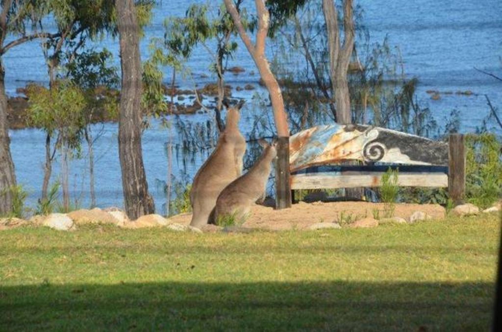 'cape Gloucester Retreat', Beachfront Seclusion!