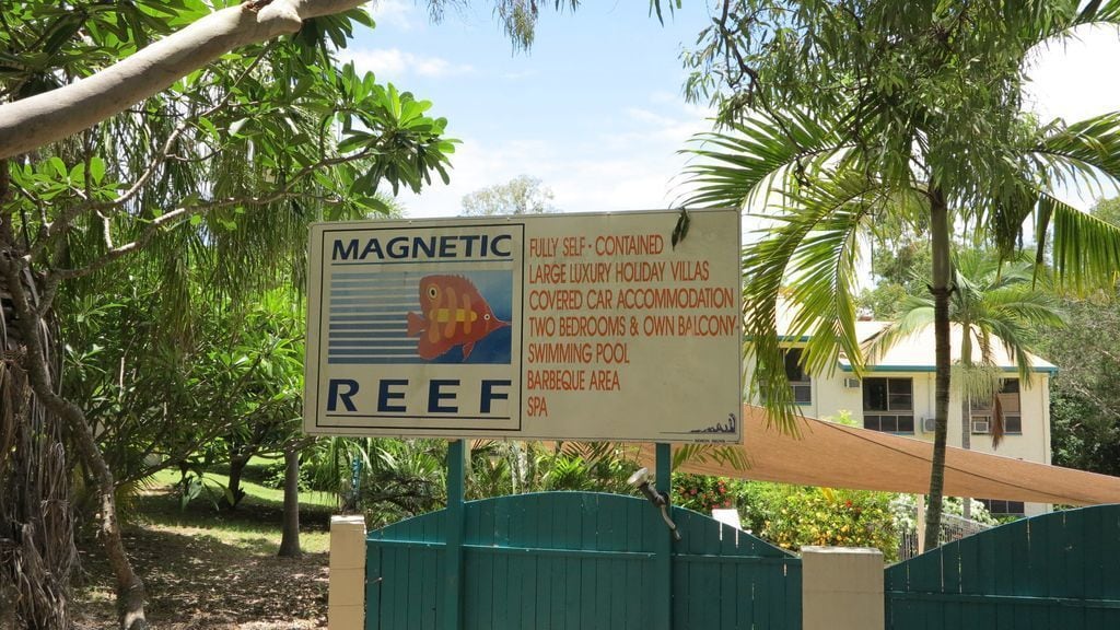 Magnetic Reef Unit 7