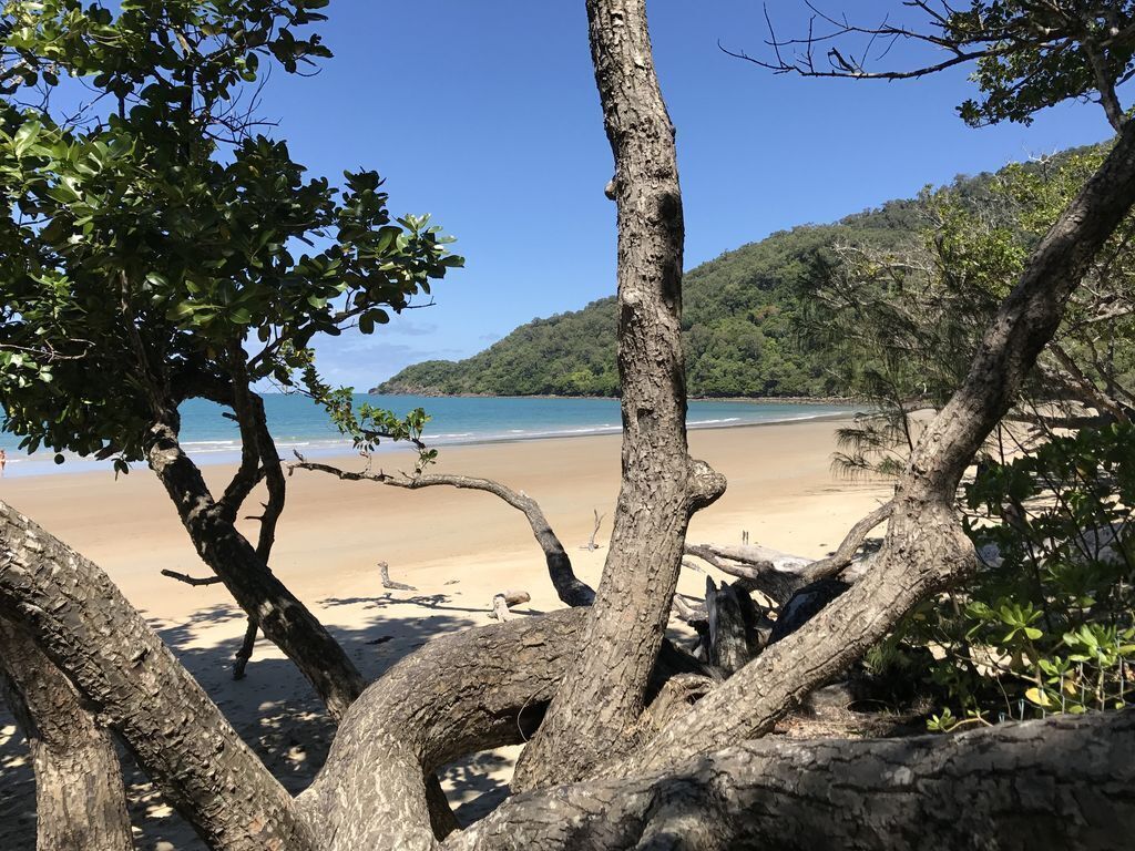 Daintree Magic Holiday House