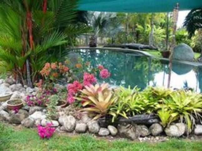 Daintree Wild Bed and Breakfast