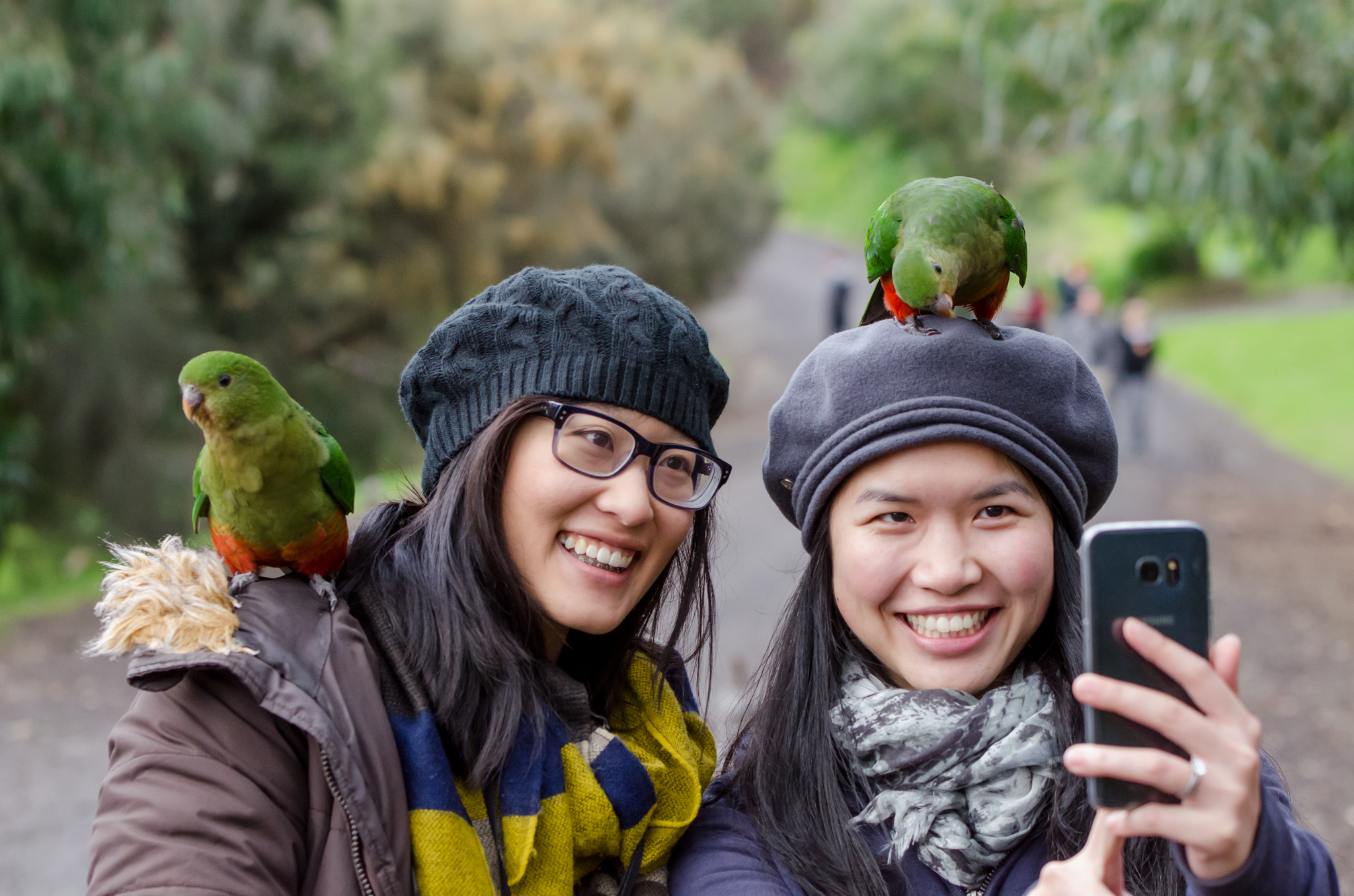 Autopia Tours: Great Ocean Road Otway Discovery 2 Day (Basic Dorm Share)