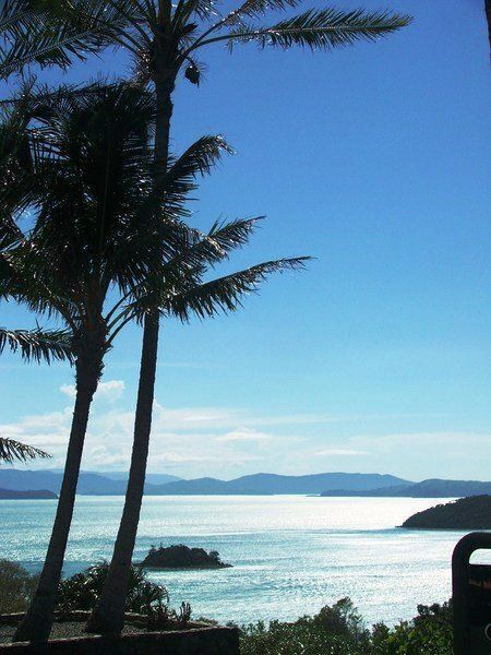 Frangipani 208 on the Beach Hamilton Island by Hamorent