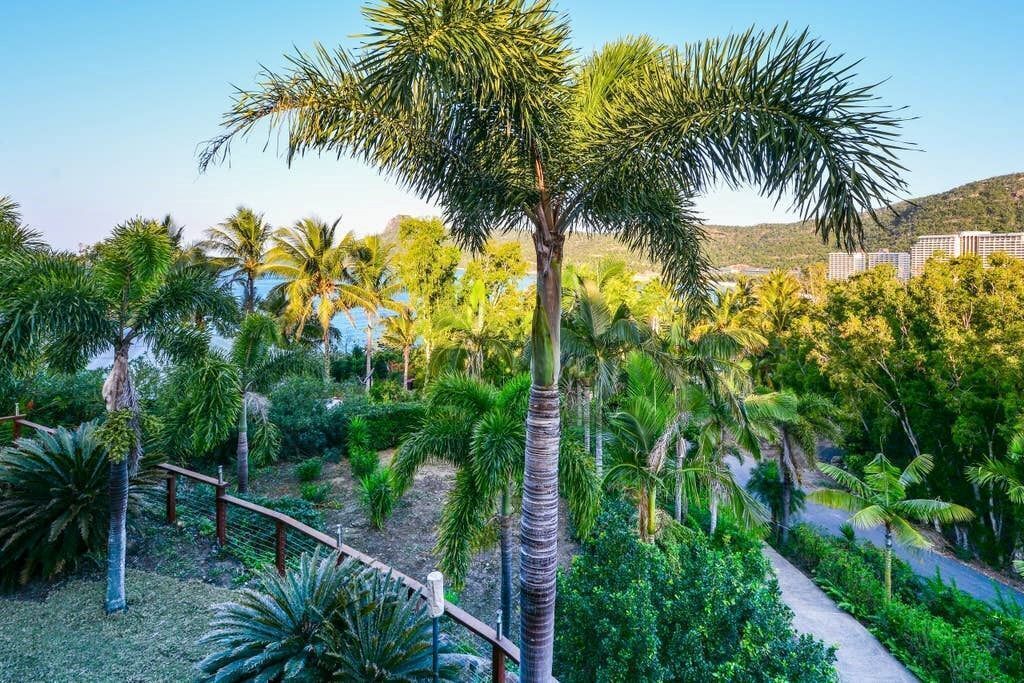 The Palms - Beautiful House on Hamilton Island