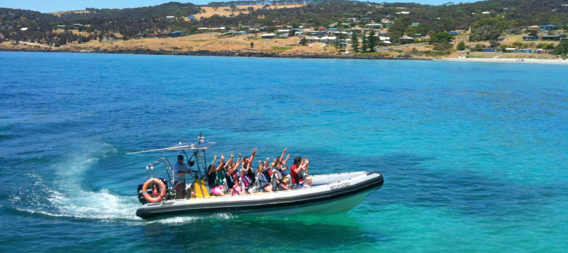 Kangaroo Island Dolphin Safari Cruise