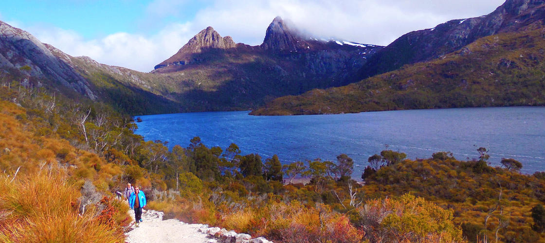 Cradle Mountain Day Tour from Burnie or Devonport