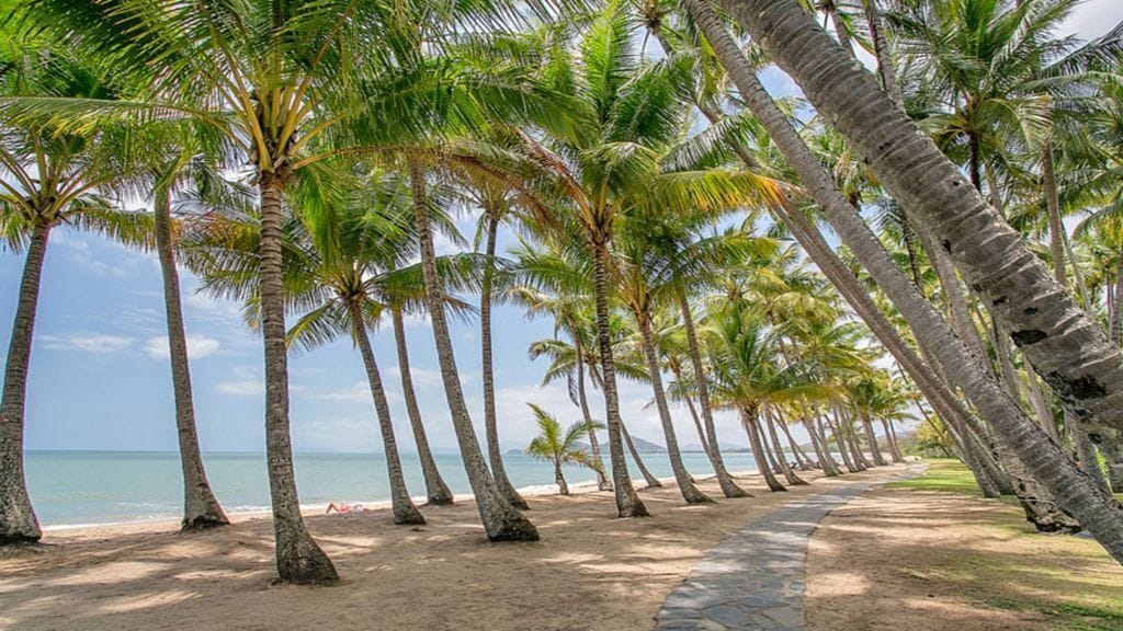 SEA TEMPLE PENTHOUSE @PALM COVE