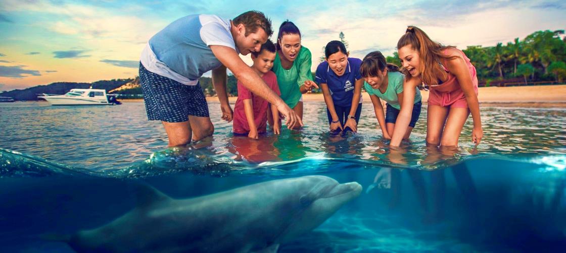 Tangalooma Dolphin Feeding Adventure Tour from Brisbane