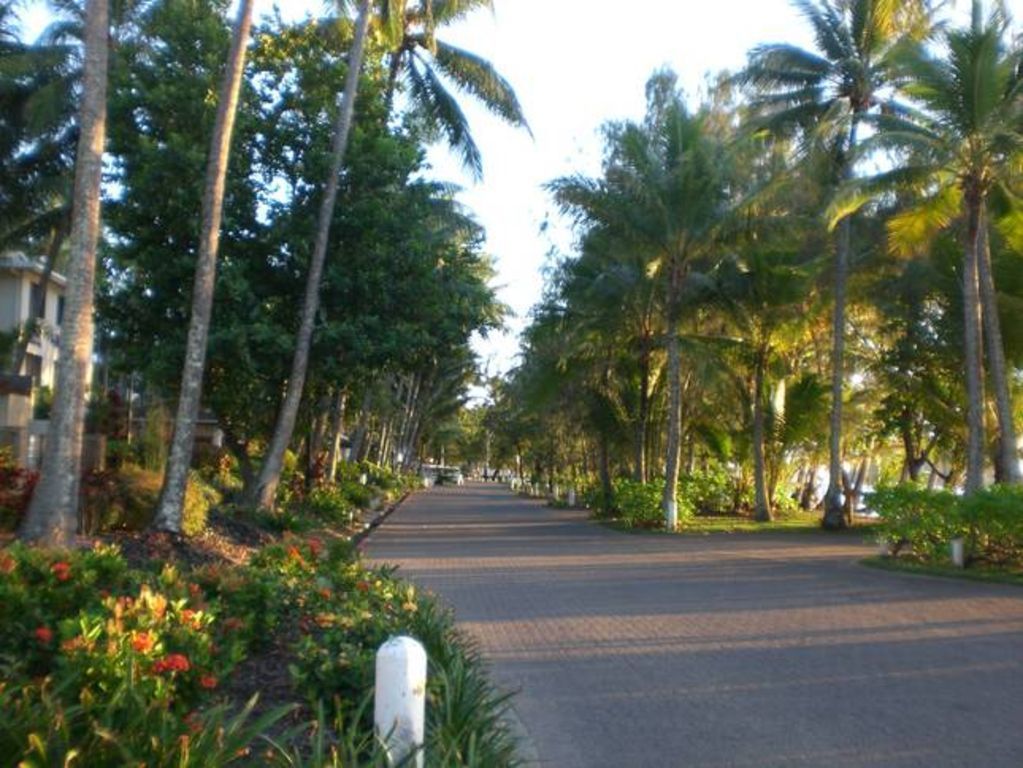 Paradise IN THE Tropics ~ Palm Cove