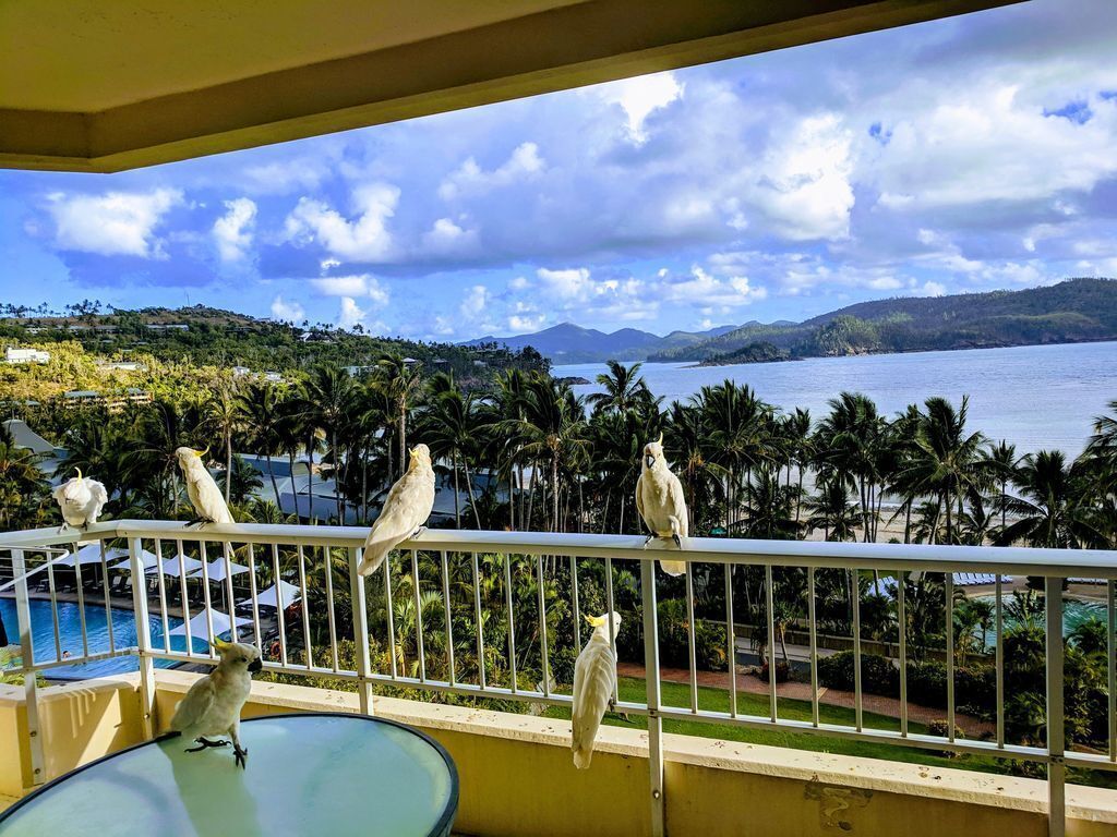 Top Floor Beachfront Apartment