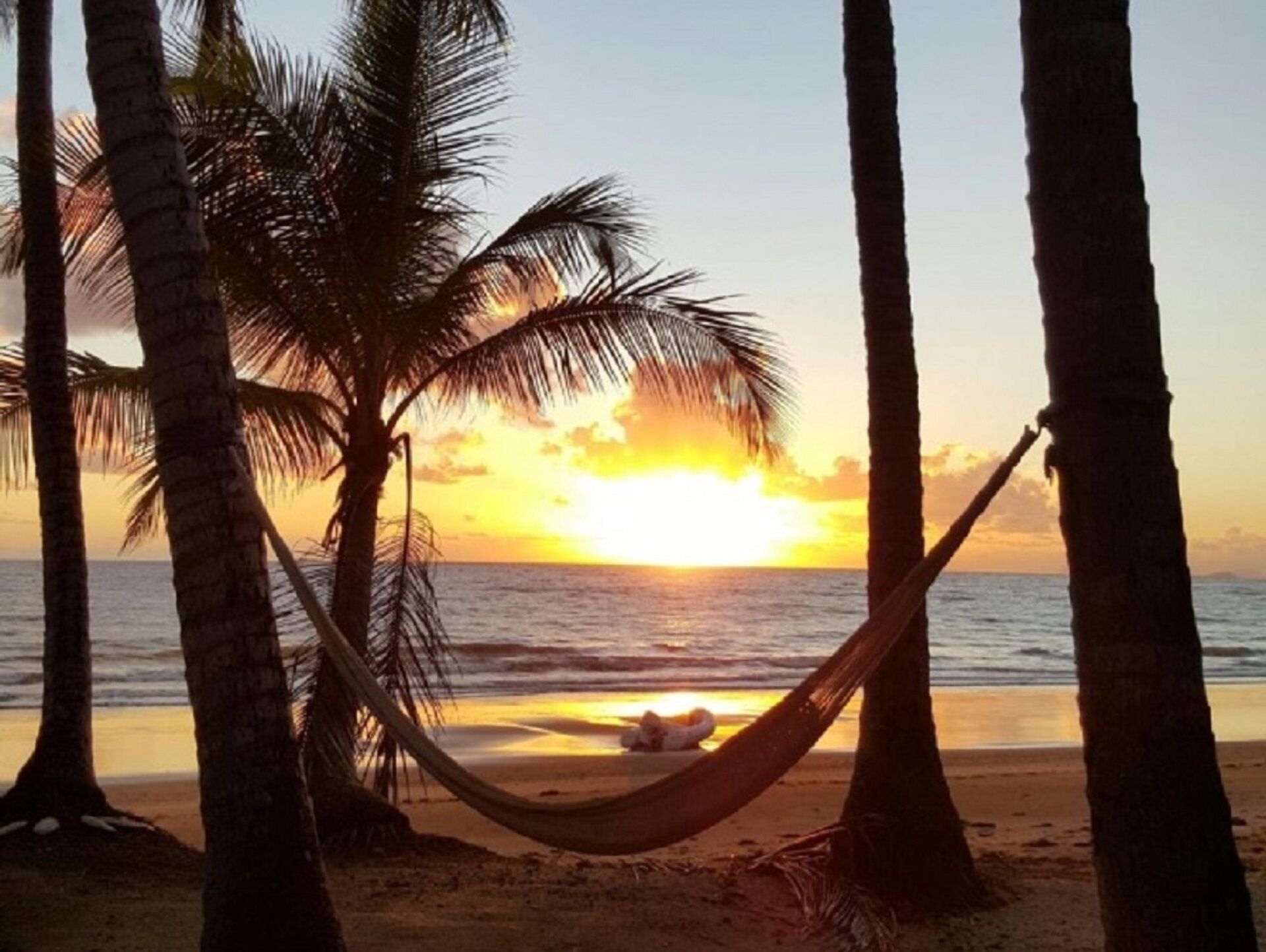 The Pines on Oak Beach – Absolute Beachfront