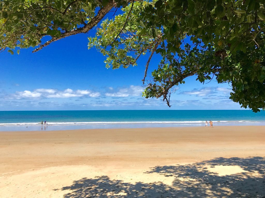 Daintree Magic Holiday House