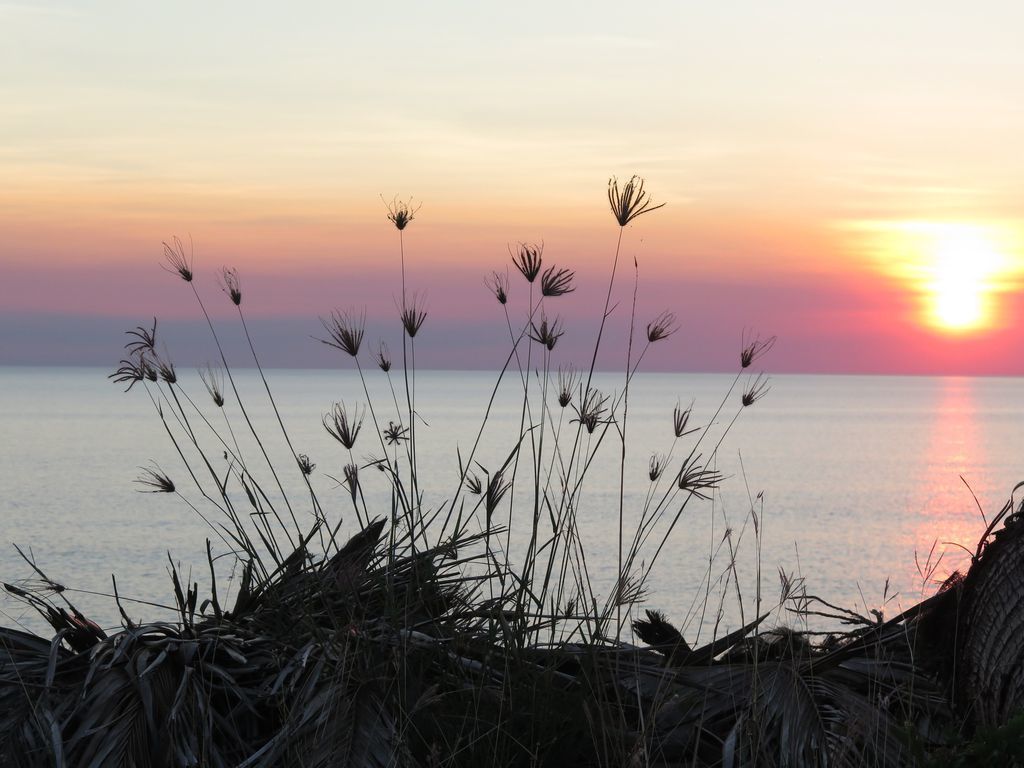 Driftwood Beachfront Getaway, Sleeps 8 Comfortably, Fully air Conditioned