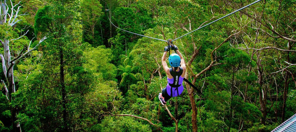 Gold Coast Hinterland Zip Line Tour with 4WD Experience