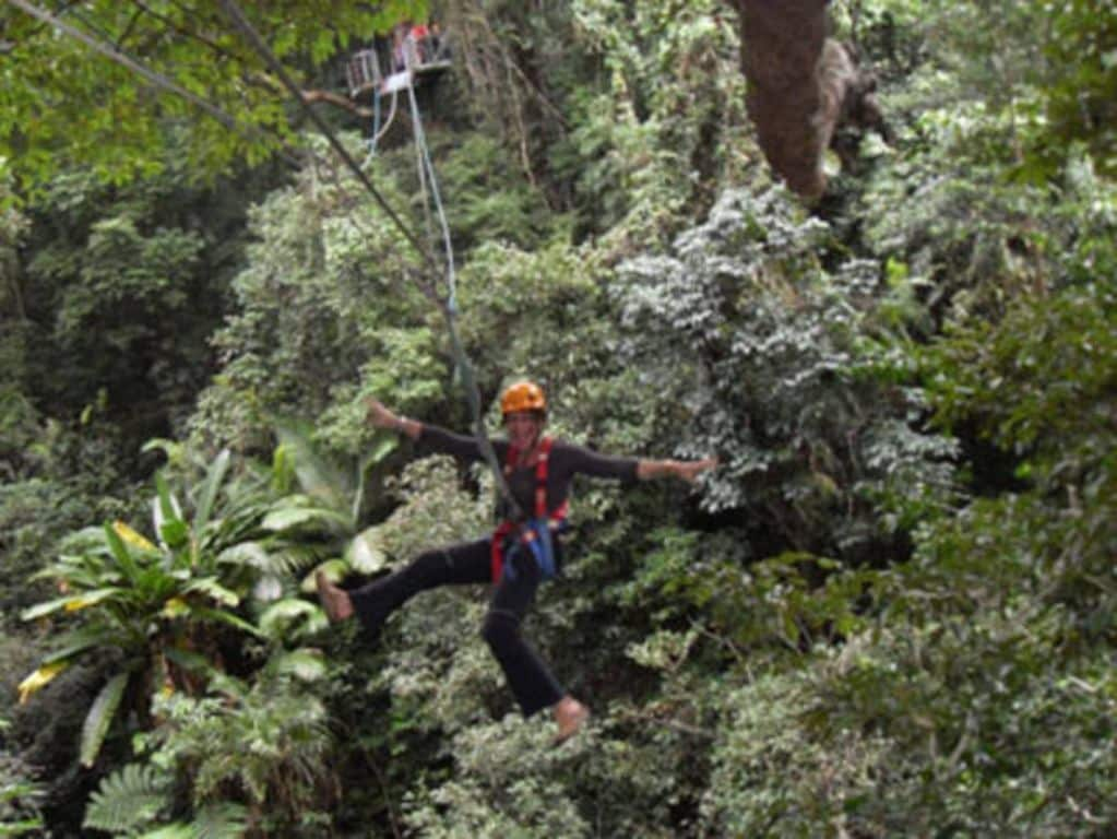 Saraswati's Oasis Daintree Holiday Accommodation